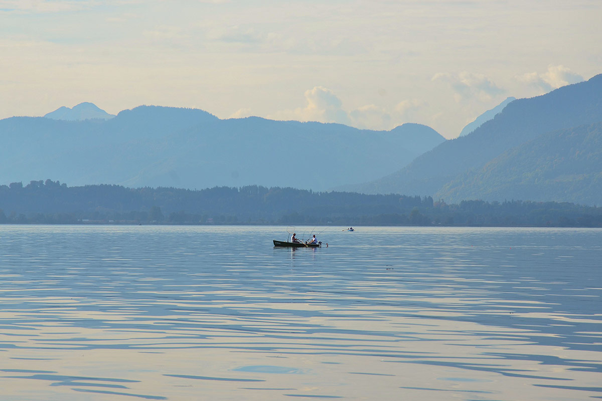 Schneeganserhof - Gutes vom Fisch